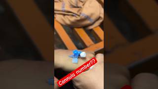 What is Cannula number  cannula cannulation shortsyoutube 💉trending new SMpharmacy [upl. by Ursulette]