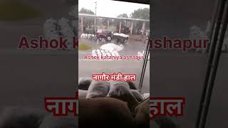 नागौर मंडी में आफत की बारिश 🌧️🌧️ youtube agriculture [upl. by Aseek751]