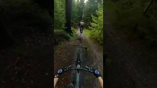 Wet flow trail NO PROBLEM 🤩 mtb mountainbike gopro [upl. by Colp]