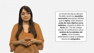 Derecho Penal I  Faz negativa de la acción tipicidad objetiva y principio de insignificancia [upl. by Namreg]