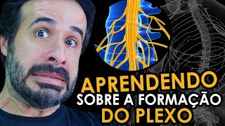 APRENDENDO SOBRE A FORMAÇÃO DO PLEXO [upl. by Atinus]