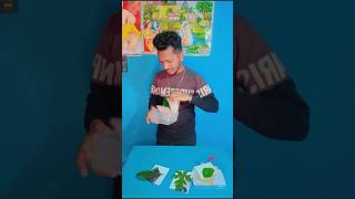 Tree leaf experiment complete🌿💪✅minivlog experiment bangla shorts [upl. by Winna]