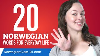 20 Norwegian Words for Everyday Life  Basic Vocabulary 1 [upl. by Woodie]