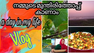 A Day in my lifeഇതാണ് മക്കളേ വിഖ്യാതമായ ആ Vegetable biriyaNiBeef masala Recipe Appus kitchen [upl. by Jacquette]