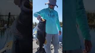 109 Bass at Headwaters Lake Fellsmere Florida Guide Trip with Captain Nate Shellen [upl. by Yahsram]