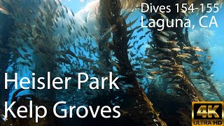 SCUBA Heisler Park Kelp Groves  Laguna Beach 2023  4K [upl. by Arrakat]