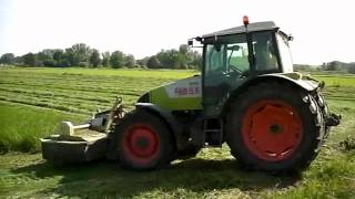 Celtis 456 RX  Claas Corto 270F [upl. by Eittel10]