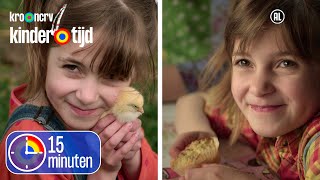 Top 2 Sien van Sellingen ☆ Eieren amp Kuikens en Lezen amp Muffins  15 minuten  Kindertijd KRONCRV [upl. by Eceer732]