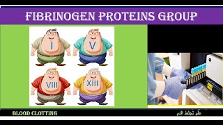 Lecture 32 Fibrinogen Proteins Group [upl. by Ainav82]