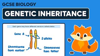 Genetic Inheritance  GCSE Biology [upl. by Nohtiek]