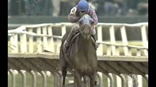 2002 Breeders Cup Classic  Volponi  Post Race [upl. by Tiebold]