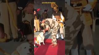 CISF dog retirement ceremony🔥🇮🇳shorts army bsf cisf raxthelabrador [upl. by Janicki]