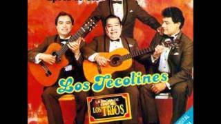 TRIUNFAMOS LOS TECOLINES [upl. by Croteau]