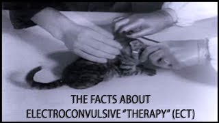 Electroconvulsive quotTherapyquot —The Facts about ECT [upl. by Akiemaj]