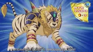 Amazoness Liger [upl. by Dorrie]