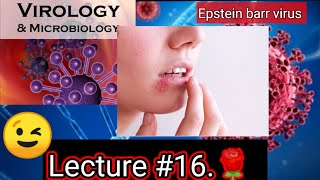 epstein barr virus microbiology epstein barr virus pathogenesis epstein barr virus VIROLOGY [upl. by Auqinot197]