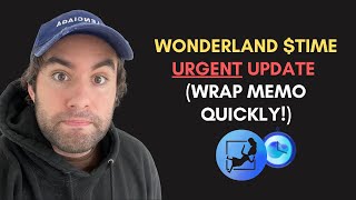 WONDERLAND TIME URGENT UPDATE WRAP MEMO QUICKLY [upl. by Mahan354]