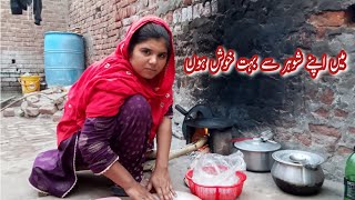 main Apney shohr se bahut khush hun  bano pathani  Pakistani family Vlogs [upl. by Terpstra]