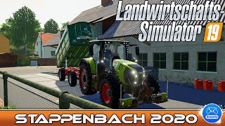 LS19  Stappenbach 38 Zuckerrüben verkaufen  Landwirtschafts Simulator 2019  Lets Play [upl. by Naened888]