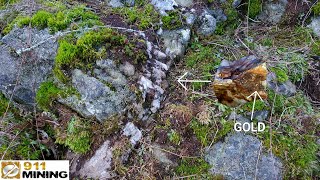 We Found A Gold Quartz Vein With Visible Free Mill Gold [upl. by Gentille]