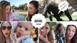 VLOG DIARIO LA LIAMOS EN EL BIOPARC 😮🐒 [upl. by Lebazej]