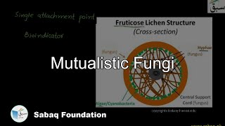 Mutualistic Fungi Biology Lecture  Sabaqpk [upl. by Ayokal333]