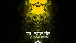 Muscaria  Natural Environment [upl. by Johnathon]