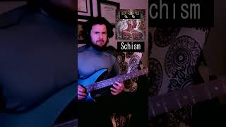 Tool Schism Intro Bass Cover Part 2 [upl. by Ariaec670]