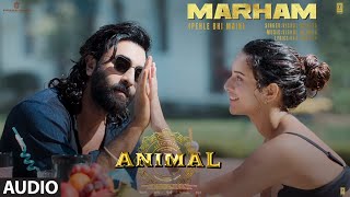 ANIMAL Marham Pehle Bhi Main Audio Ranbir KapoorTripti Dimri SandeepVishal MRaj SBhushan K [upl. by Quillan]