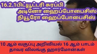 10th std science பிட்யூட்டரி சுரப்பி மற்றும் ஹார்மோன்கள் pituitary gland [upl. by Anatolio]