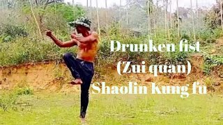 Drunken fist Zui quan shaolin kungfu [upl. by Warfourd604]