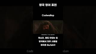 해리포터 Codswallop  헛소리 말도 안되는 일 🇬🇧 shorts 영국발음 영국영어 영어쉐도잉 영어회화 영어발음 쉐도잉 해리포터 영국영어쉐도잉 [upl. by Corsetti]