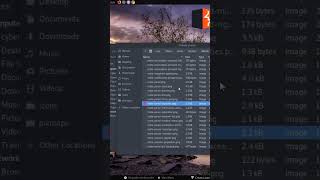 How to Create Burp Suite Pro Launcher in Linux  thecyberarya  cybersecurity [upl. by Eiuol55]