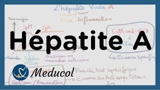 Hépatite A symptômes sérologie de lhépatite A vaccin et traitement [upl. by Cyndie528]