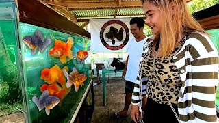 GOLDFISH keeper turned BUSINESS owner  An Inspiring Story ft GP GOLD FISH [upl. by Yatnod]