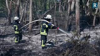 Waldbrand zwischen Speyer und Dudenhofen [upl. by Elias]