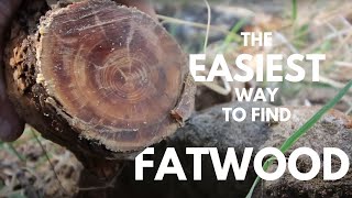 How to find Fatwood The easiest way [upl. by Landau]