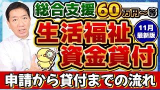 【60万円 生活資金貸付 非課税でなくても申請可能】申請から貸付の流れ 低所得者 高齢者 障害者世帯 生活支援費 就学支援費 保証人不要 免除と生保は利用できる？〈24年11月時点〉 [upl. by Blayne]