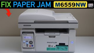 Pantum M6559NW Paper Jam [upl. by Rafaela896]