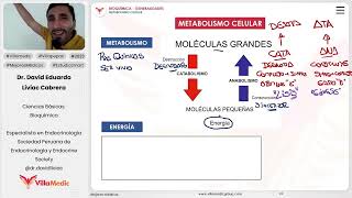 Generalidades  Metabolismo celular [upl. by Ennayk]