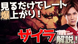 【 LOL 】KRチャレンジャー 達成時の相棒！ ザイラ 解説！【 League of Legends  えんてぃ  サポート ザイラ 】 [upl. by Sukey]