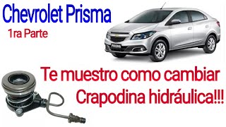 Te muestro como cambiar crapodina hidráulica chevrolet prisma [upl. by Grange]