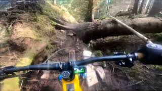 Yair Forest Tech  MTB Scotland  Nukeproof Bikes [upl. by Reahard]