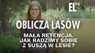 Mała retencja Jak radzimy sobie z suszą w lesie  Oblicza lasów 104 [upl. by Demmahom]