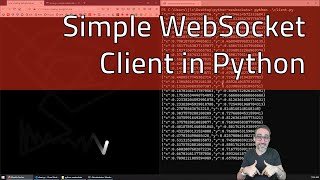 81 How to Create a WebSocket Client in Python  Fun with WebSockets [upl. by Norreht86]