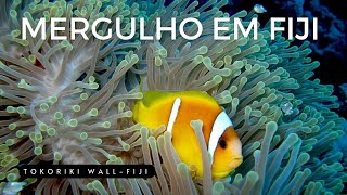 MERGULHO NO TOKORIKI WALL  FIJI [upl. by Kittie]