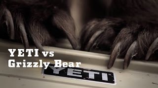 YETI vs Grizzly Bear  YETI Coolers [upl. by Loydie]