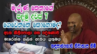 මැරුණ කෙනාගේ පලමු දවස් 7 ගෙවෙන්නේ කොහොමද hadapangoda niwathapa himi bana [upl. by Mikal]