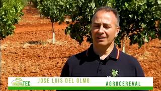 RIEGO POR GOTEO SUBTERRÁNEO EXPERIENCIA DE AGROCEREVAL EN VIÑEDO ECOLÓGICO [upl. by Nnayrb638]