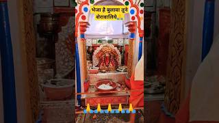 bheja hai bulawa tune Shera waliye🙏jay mata di shitla devi mandir tranding song viral shorts [upl. by Elleryt]